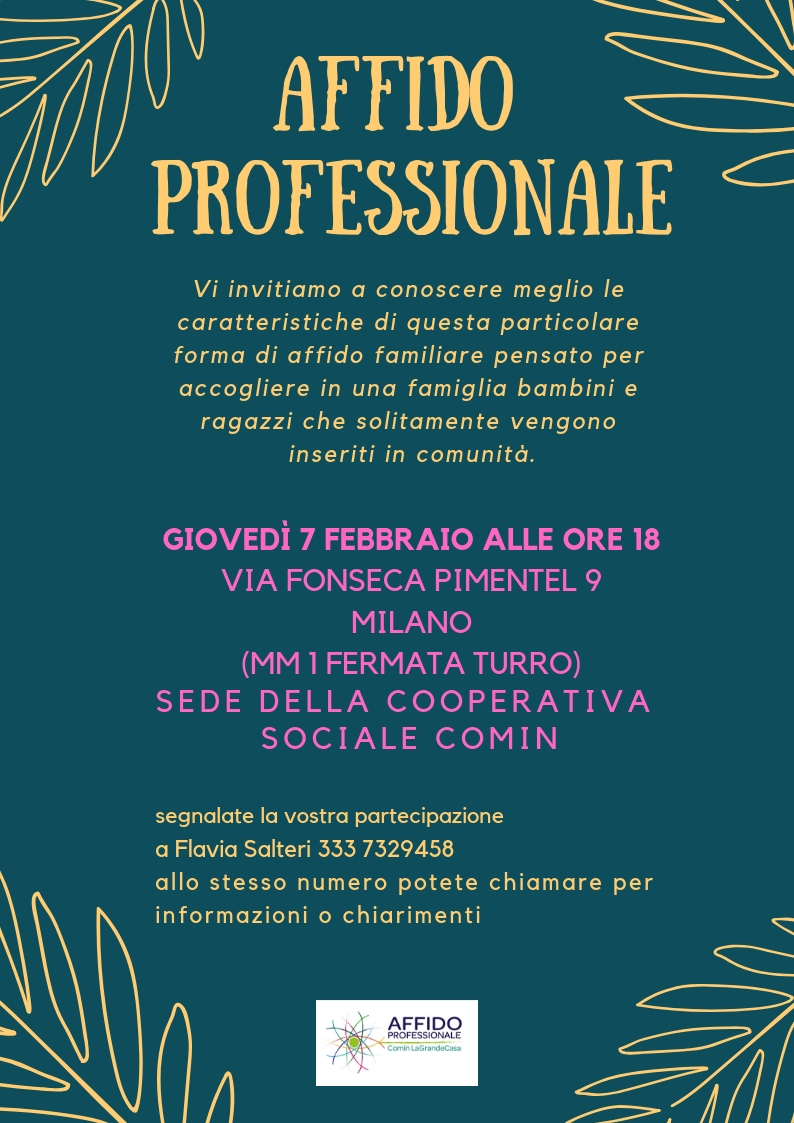 affido professionale 7.2.19